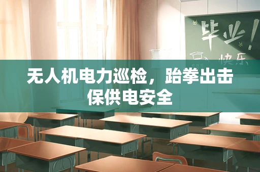 无人机电力巡检，跆拳出击保供电安全