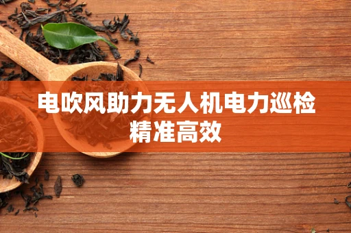 电吹风助力无人机电力巡检精准高效