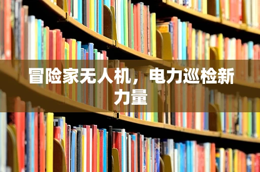 冒险家无人机，电力巡检新力量