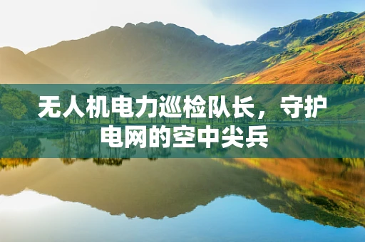 无人机电力巡检队长，守护电网的空中尖兵