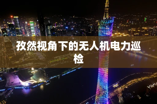 孜然视角下的无人机电力巡检