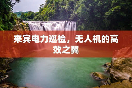 来宾电力巡检，无人机的高效之翼