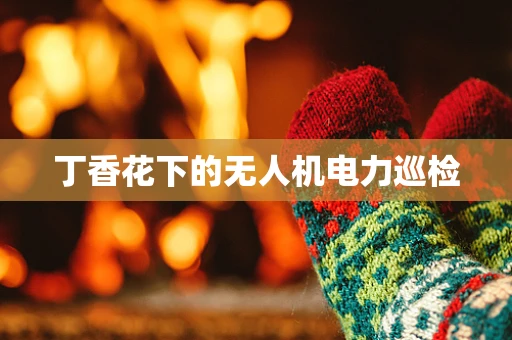 丁香花下的无人机电力巡检