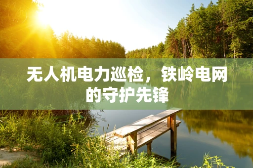 无人机电力巡检，铁岭电网的守护先锋