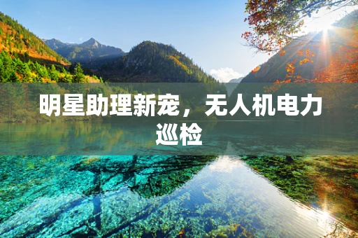 明星助理新宠，无人机电力巡检