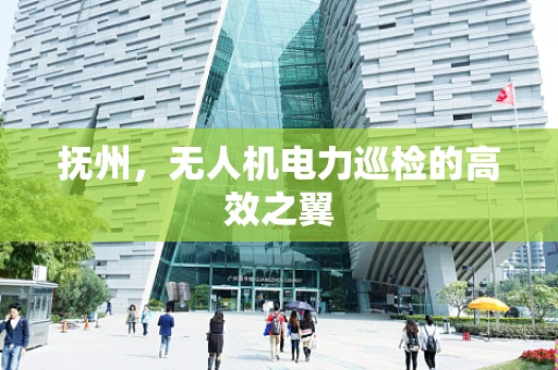 抚州，无人机电力巡检的高效之翼