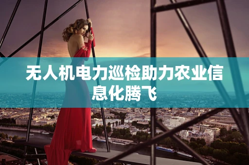 无人机电力巡检助力农业信息化腾飞