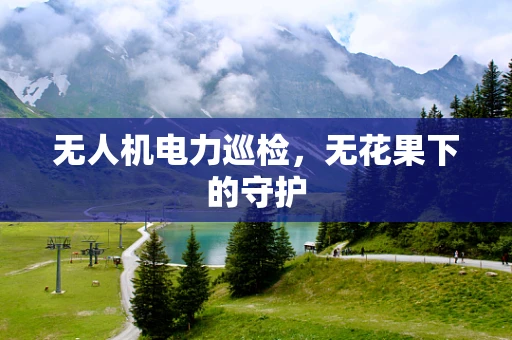 无人机电力巡检，无花果下的守护