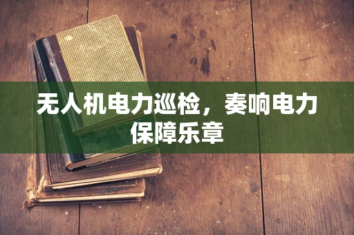 无人机电力巡检，奏响电力保障乐章