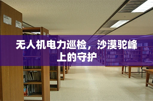 无人机电力巡检，沙漠驼峰上的守护