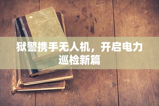 狱警携手无人机，开启电力巡检新篇