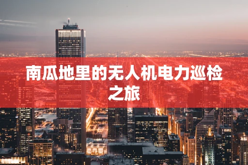 南瓜地里的无人机电力巡检之旅