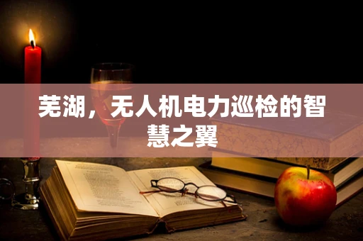 芜湖，无人机电力巡检的智慧之翼