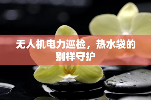 无人机电力巡检，热水袋的别样守护