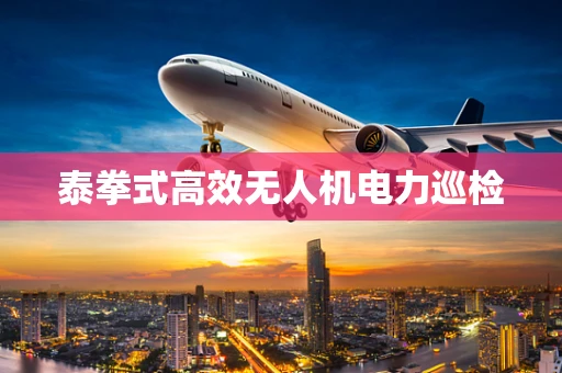 泰拳式高效无人机电力巡检