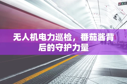 无人机电力巡检，番茄酱背后的守护力量