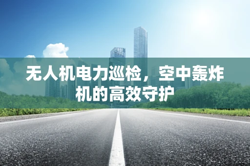无人机电力巡检，空中轰炸机的高效守护