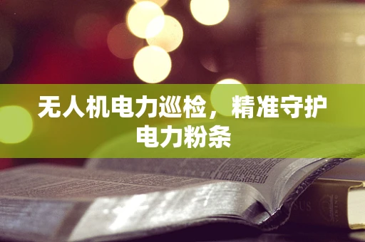 无人机电力巡检，精准守护电力粉条