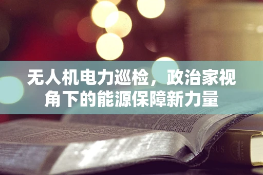 无人机电力巡检，政治家视角下的能源保障新力量