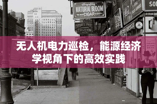 无人机电力巡检，能源经济学视角下的高效实践