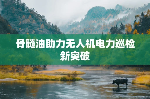 骨髓油助力无人机电力巡检新突破