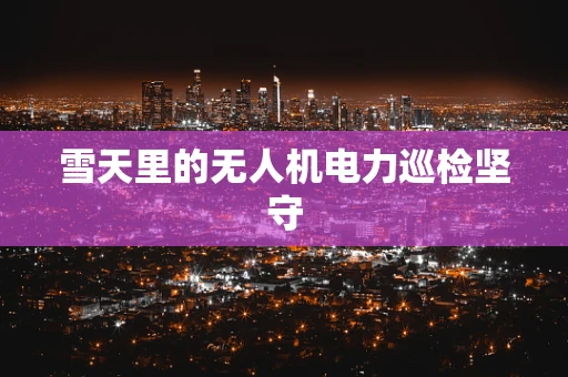 雪天里的无人机电力巡检坚守