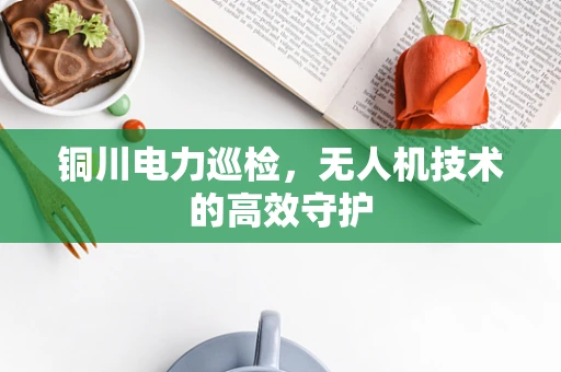 铜川电力巡检，无人机技术的高效守护