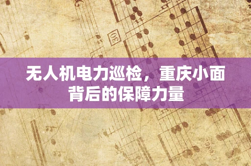 无人机电力巡检，重庆小面背后的保障力量