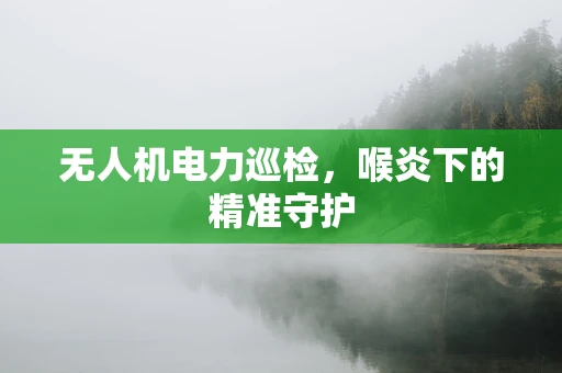 无人机电力巡检，喉炎下的精准守护