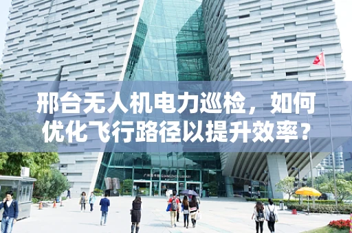 邢台无人机电力巡检，如何优化飞行路径以提升效率？