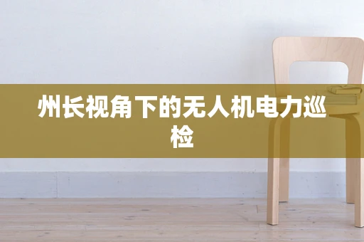 州长视角下的无人机电力巡检