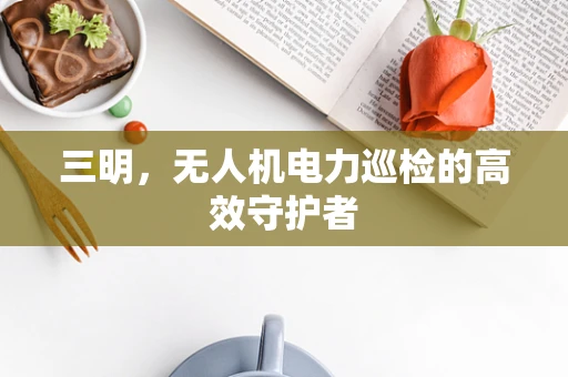 三明，无人机电力巡检的高效守护者