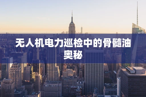 无人机电力巡检中的骨髓油奥秘