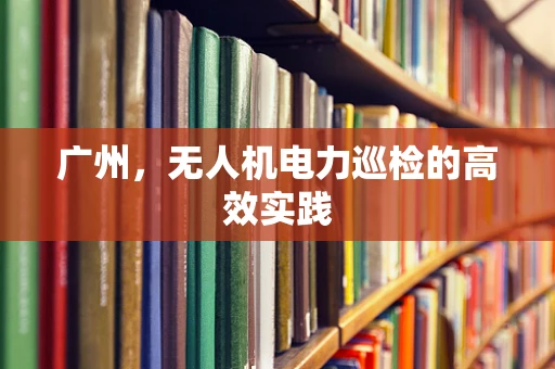 广州，无人机电力巡检的高效实践