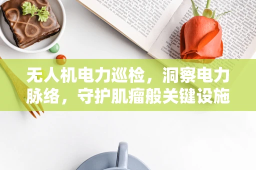 无人机电力巡检，洞察电力脉络，守护肌瘤般关键设施