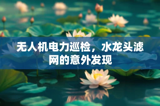 无人机电力巡检，水龙头滤网的意外发现