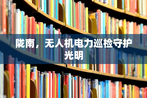 陇南，无人机电力巡检守护光明