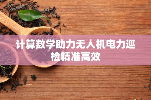 计算数学助力无人机电力巡检精准高效