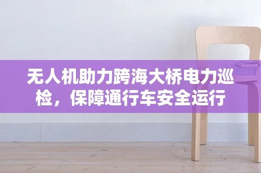 无人机助力跨海大桥电力巡检，保障通行车安全运行