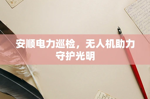 安顺电力巡检，无人机助力守护光明