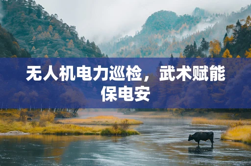无人机电力巡检，武术赋能保电安