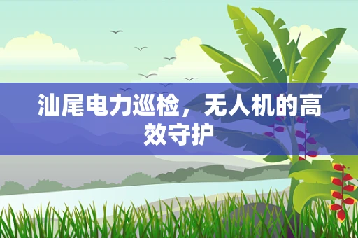 汕尾电力巡检，无人机的高效守护