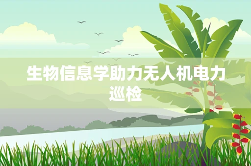 生物信息学助力无人机电力巡检