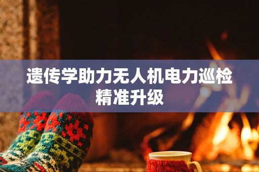 遗传学助力无人机电力巡检精准升级