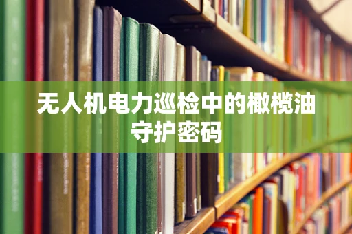 无人机电力巡检中的橄榄油守护密码