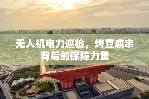 无人机电力巡检，烤豆腐串背后的保障力量