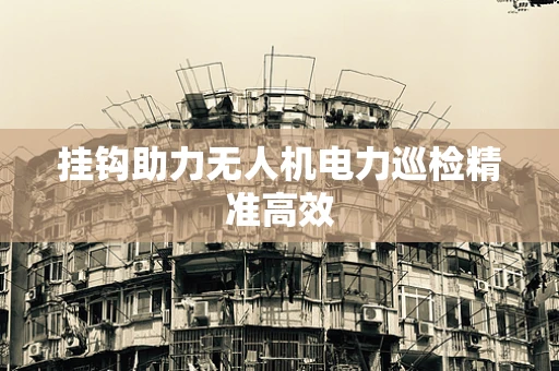 挂钩助力无人机电力巡检精准高效
