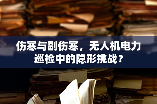 伤寒与副伤寒，无人机电力巡检中的隐形挑战？