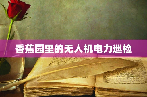 香蕉园里的无人机电力巡检
