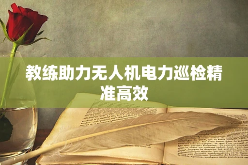 教练助力无人机电力巡检精准高效